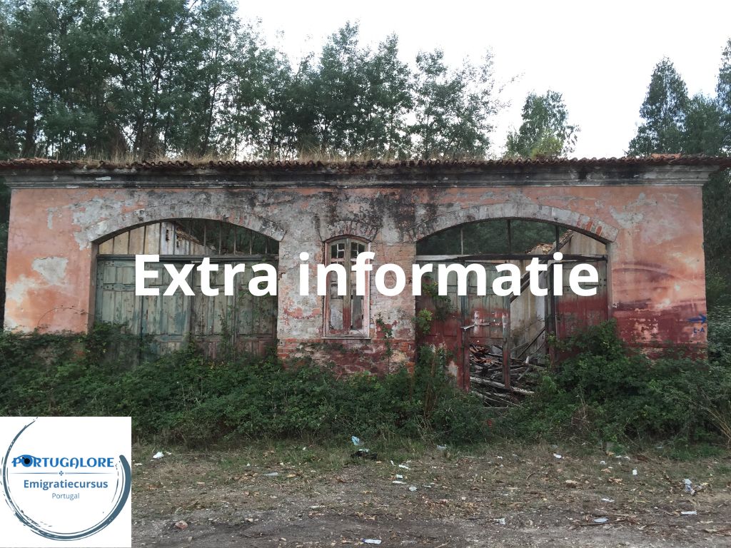emigratie cursus extra informatie
